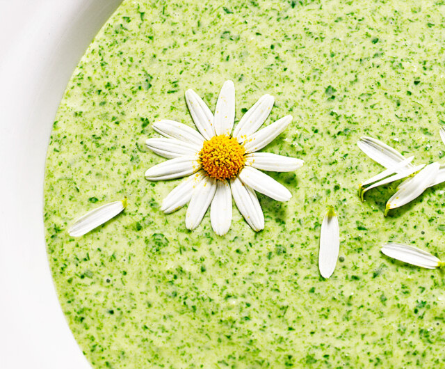 Brennnesselcremsuppe